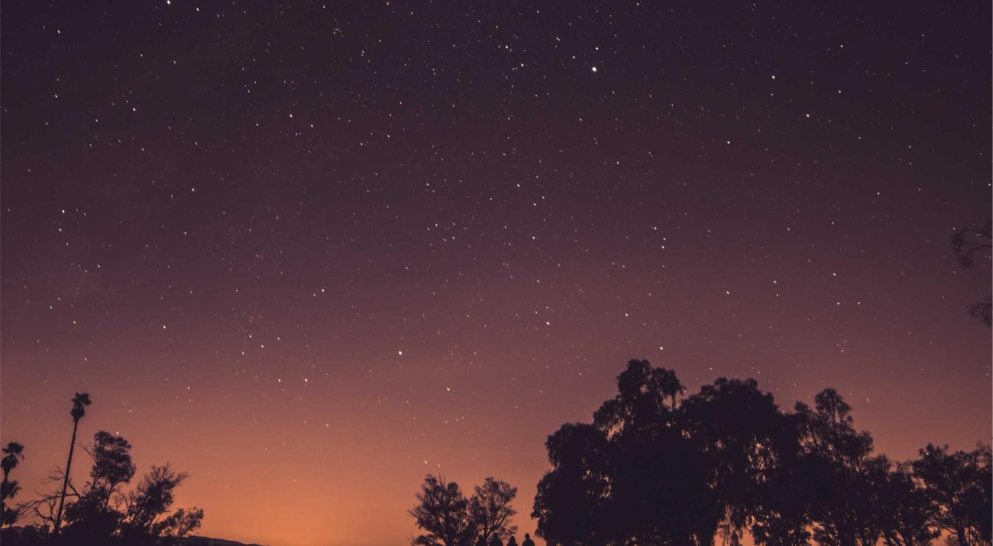 Stories, guides & inspiration